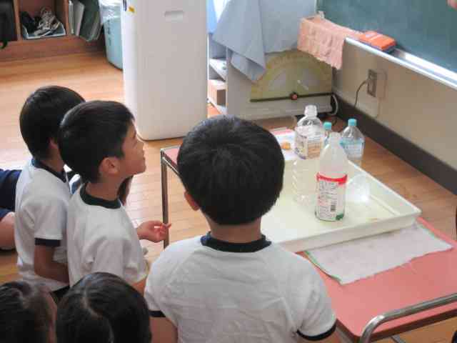 IMG_4186[1]