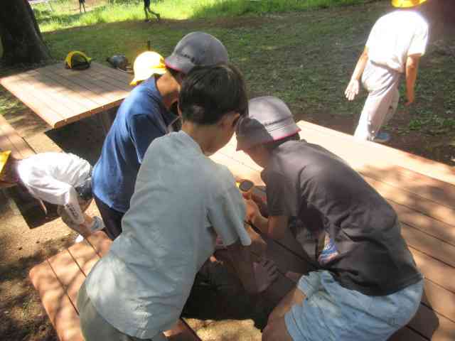 IMG_0601[1]