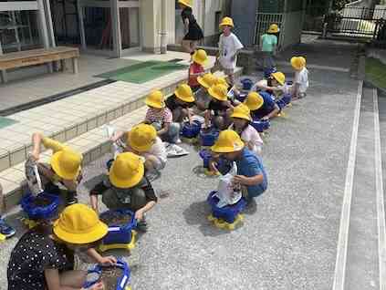 IMG_5906_D204C1BB