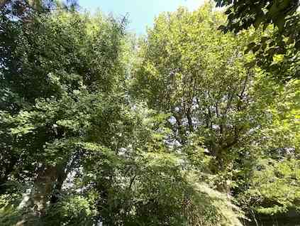 IMG_9431_0F29F61A